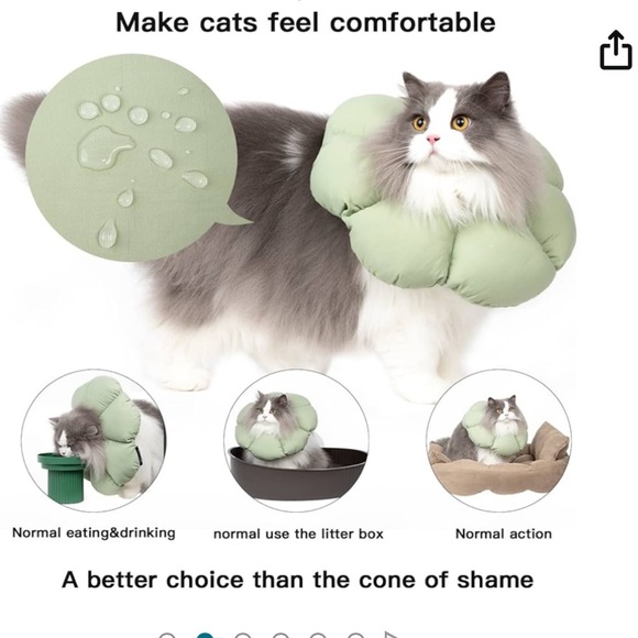 Cat cone collar - Picture 1 of 5